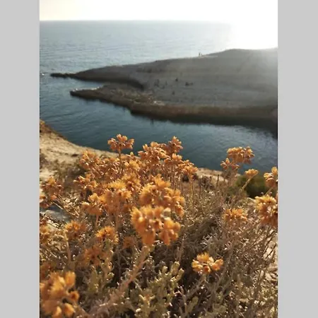 Holiday home Casa Degli Agrumi Cuglieri