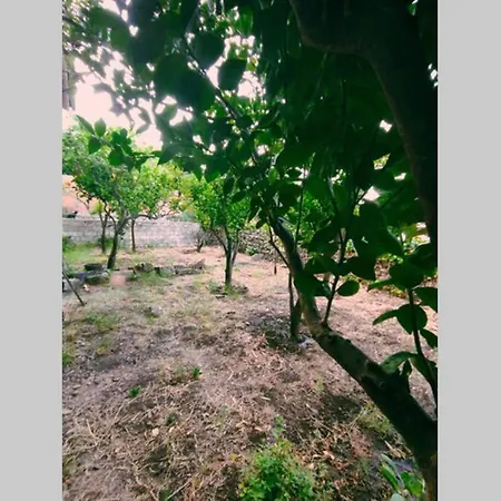 Holiday home Casa Degli Agrumi *