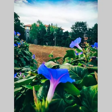 Casa Degli Agrumi Holiday home