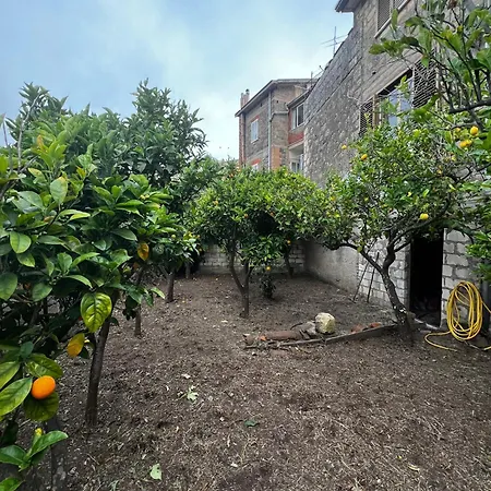 Holiday home Casa Degli Agrumi *